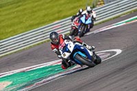 Middle Group Blue Bikes